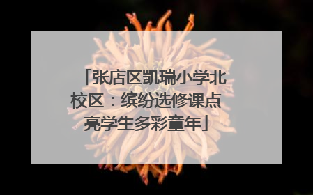 张店区凯瑞小学北校区：缤纷选修课点亮学生多彩童年