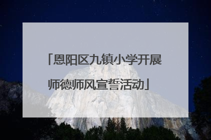 恩阳区九镇小学开展师德师风宣誓活动