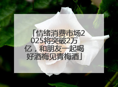 情绪消费市场2025将突破2万亿，和朋友一起喝好酒梅见青梅酒