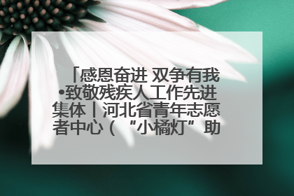 感恩奋进 双争有我•致敬残疾人工作先进集体丨河北省青年志愿者中心（“小橘灯”助残接力计划实施团队）：用温暖陪伴，守护特殊孩子成长