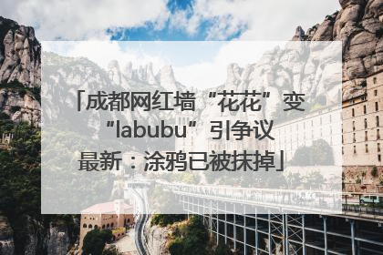 成都网红墙“花花”变“labubu”引争议 最新：涂鸦已被抹掉