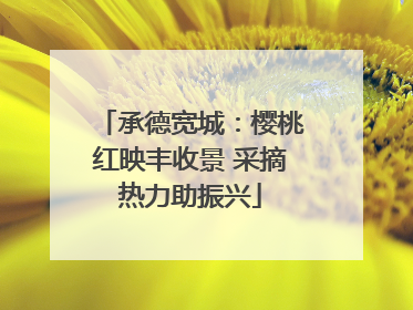 承德宽城：樱桃红映丰收景 采摘热力助振兴