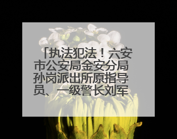 执法犯法！六安市公安局金安分局孙岗派出所原指导员、一级警长刘军被“双开”