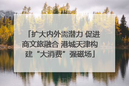扩大内外需潜力 促进商文旅融合 港城天津构建“大消费”强磁场