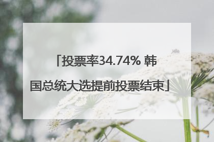 投票率34.74% 韩国总统大选提前投票结束