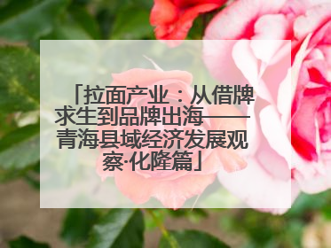 拉面产业：从借牌求生到品牌出海——青海县域经济发展观察·化隆篇