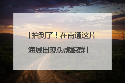 拍到了！在南通这片海域出现伪虎鲸群
