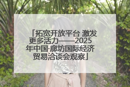 拓宽开放平台 激发更多活力——2025年中国·廊坊国际经济贸易洽谈会观察