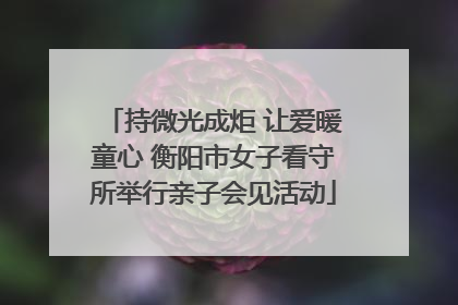 持微光成炬 让爱暖童心 衡阳市女子看守所举行亲子会见活动