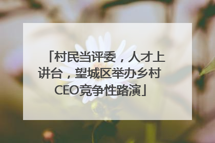 村民当评委，人才上讲台，望城区举办乡村CEO竞争性路演