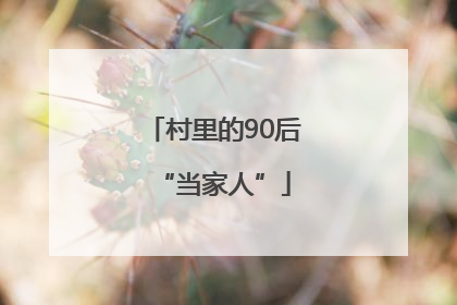村里的90后“当家人”