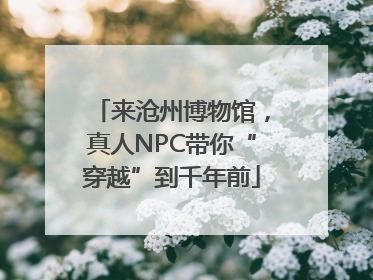 来沧州博物馆，真人NPC带你“穿越”到千年前