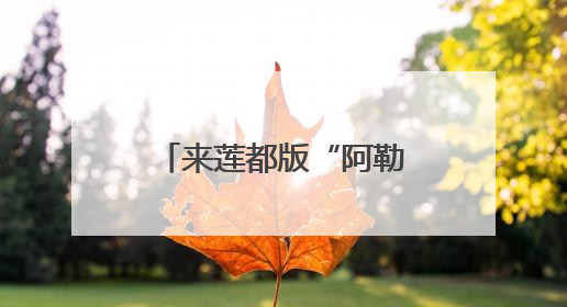 来莲都版“阿勒泰” 承包你的山野浪漫！《90早新闻》来了