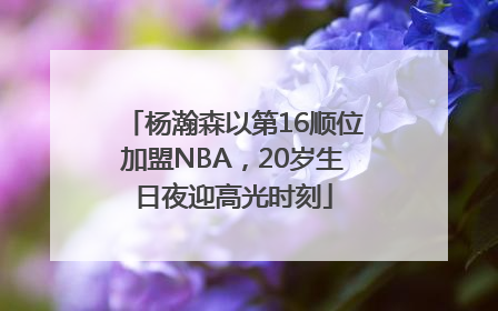 杨瀚森以第16顺位加盟NBA，20岁生日夜迎高光时刻