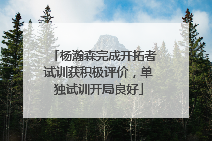 杨瀚森完成开拓者试训获积极评价，单独试训开局良好