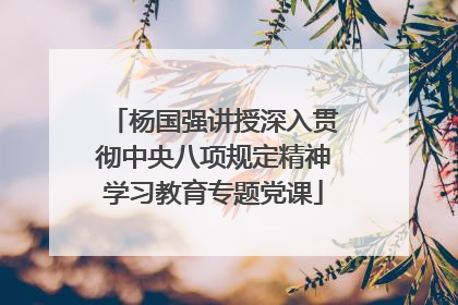杨国强讲授深入贯彻中央八项规定精神学习教育专题党课