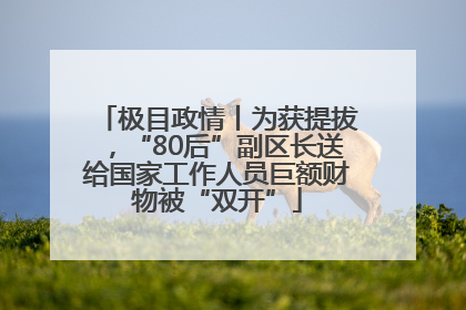 极目政情丨为获提拔，“80后”副区长送给国家工作人员巨额财物被“双开”