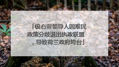 极右翼领导人因难民政策分歧退出执政联盟，导致荷兰政府垮台