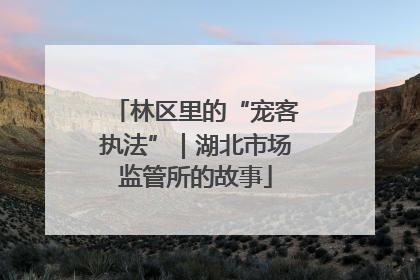 林区里的“宠客执法”｜湖北市场监管所的故事