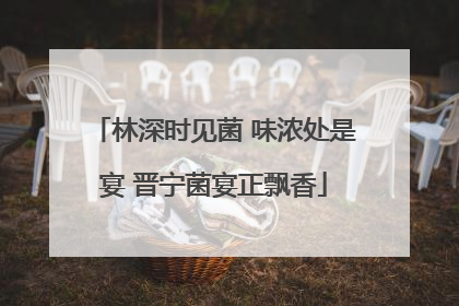林深时见菌 味浓处是宴 晋宁菌宴正飘香