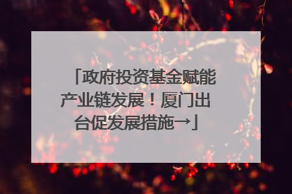 政府投资基金赋能产业链发展！厦门出台促发展措施→