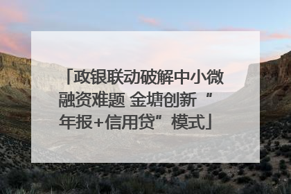 政银联动破解中小微融资难题 金塘创新“年报+信用贷”模式