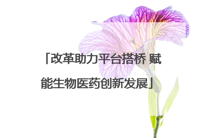 改革助力平台搭桥 赋能生物医药创新发展
