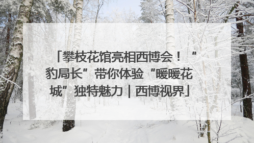 攀枝花馆亮相西博会！“豹局长”带你体验“暖暖花城”独特魅力｜西博视界