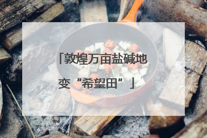 敦煌万亩盐碱地变“希望田”