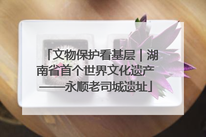 文物保护看基层｜湖南省首个世界文化遗产——永顺老司城遗址
