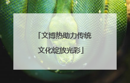 文博热助力传统文化绽放光彩