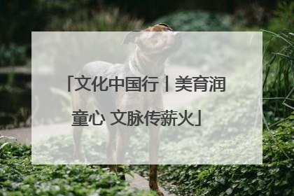 文化中国行丨美育润童心 文脉传薪火