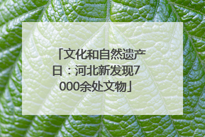 文化和自然遗产日：河北新发现7000余处文物