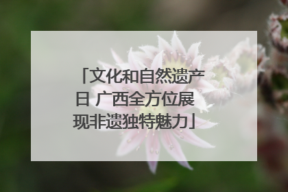 文化和自然遗产日 广西全方位展现非遗独特魅力