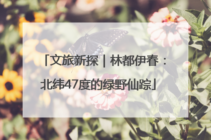 文旅新探｜林都伊春：北纬47度的绿野仙踪