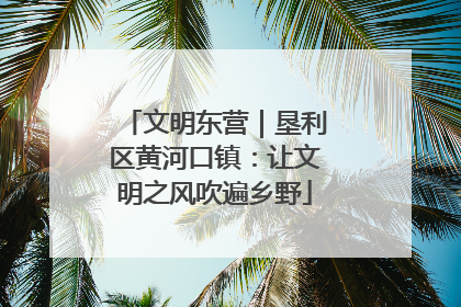 文明东营｜垦利区黄河口镇：让文明之风吹遍乡野
