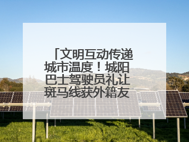 文明互动传递城市温度！城阳巴士驾驶员礼让斑马线获外籍友人鞠躬致谢