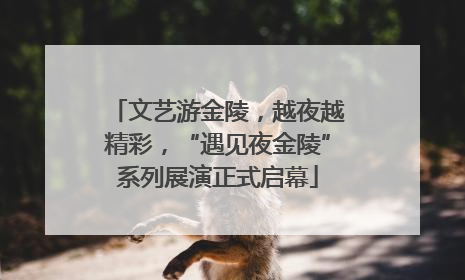 文艺游金陵，越夜越精彩，“遇见夜金陵”系列展演正式启幕