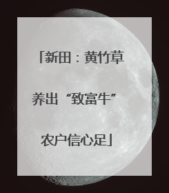 新田：黄竹草养出“致富牛” 农户信心足