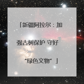 新疆阿拉尔：加强古树保护 守好“绿色文物”