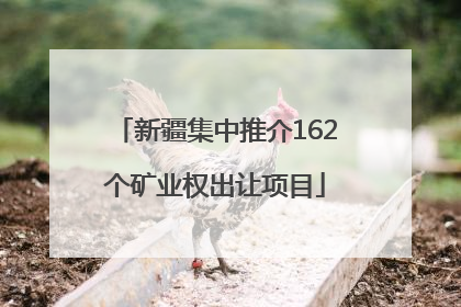 新疆集中推介162个矿业权出让项目