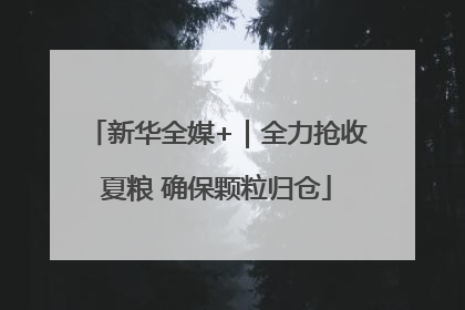 新华全媒+｜全力抢收夏粮 确保颗粒归仓