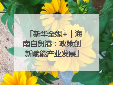 新华全媒+｜海南自贸港：政策创新赋能产业发展