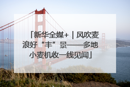 新华全媒+｜风吹麦浪好“丰”景——多地小麦机收一线见闻