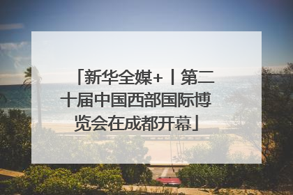新华全媒+丨第二十届中国西部国际博览会在成都开幕