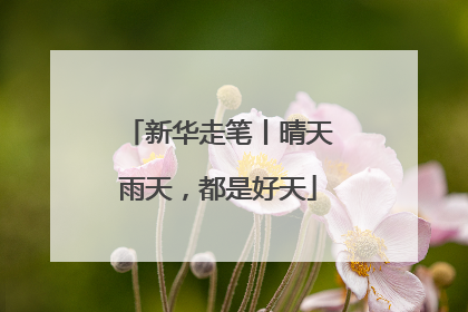 新华走笔丨晴天雨天，都是好天