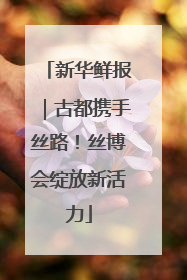 新华鲜报｜古都携手丝路！丝博会绽放新活力