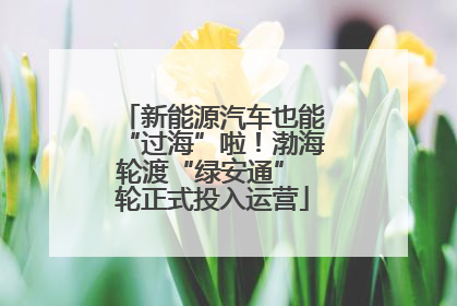 新能源汽车也能“过海”啦！渤海轮渡“绿安通” 轮正式投入运营