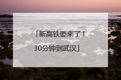新高铁要来了！30分钟到武汉