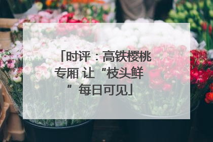 时评：高铁樱桃专厢 让“枝头鲜”每日可见